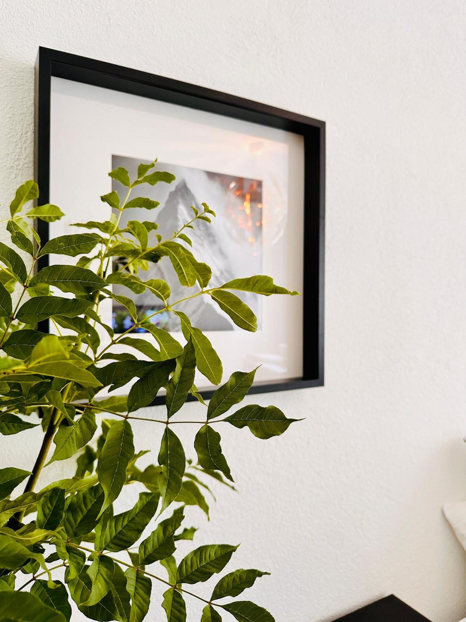 Schoene Ferienwohnung Schottwien 외부 사진